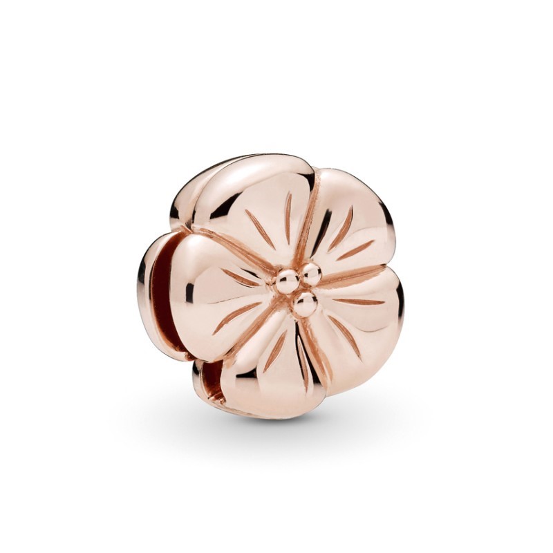 Encaixe Pandora Rose Reflexions Clip Flor 787897