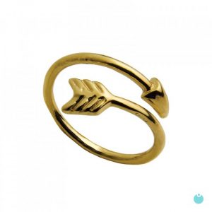 Anel Dourado Flecha Enrolada 1LINK-1325A