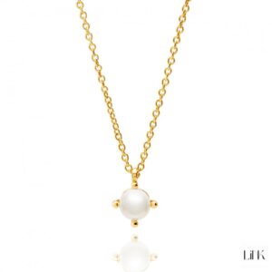 Colar Link Dourado 1 Perola 4 Garras 1LINK-1700B.D