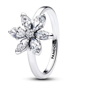 Anel Pandora Herbarium Cluster Zirconias 193000C02