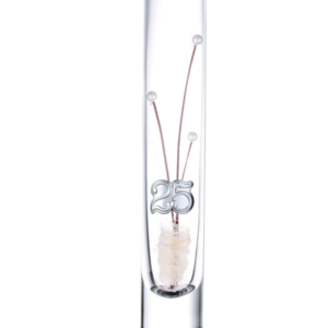 Jarra PVD Solitário 25 anos 24cm 4CS-FL0014-25