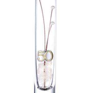 Jarra PVD Solitário 50 anos 24cm 4CS-FL0014-50